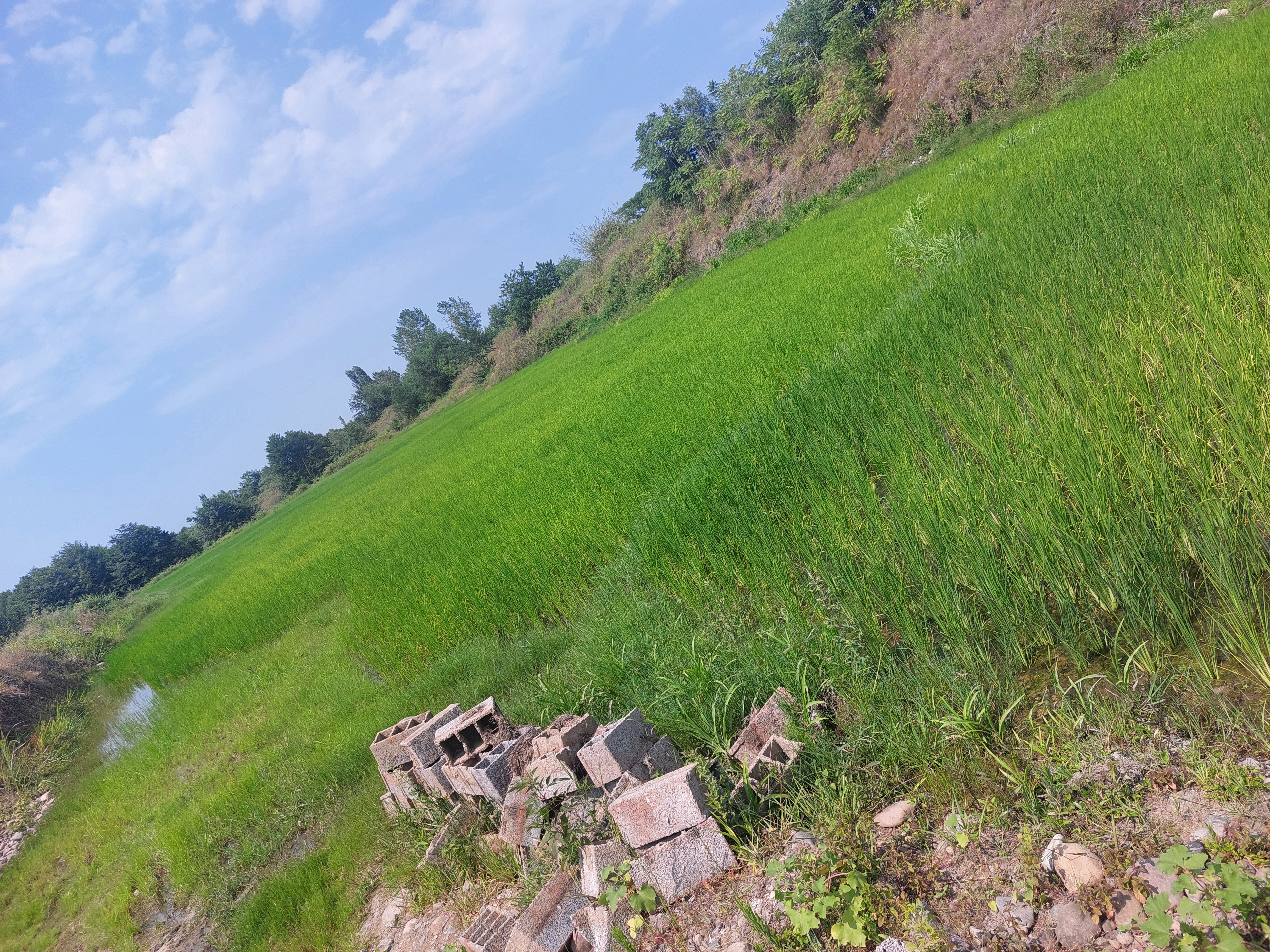 تصویر روستا